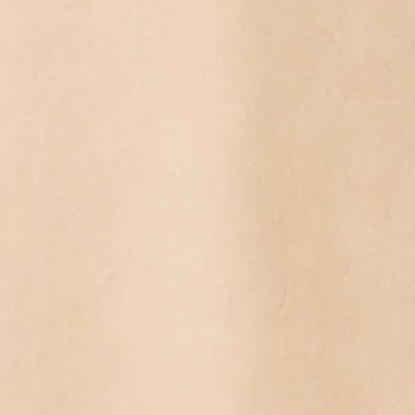 Uploaded fabric reference — beige handloom cotton